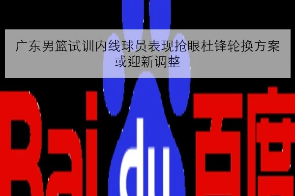 广东男篮试训内线球员表现抢眼杜锋轮换方案或迎新调整